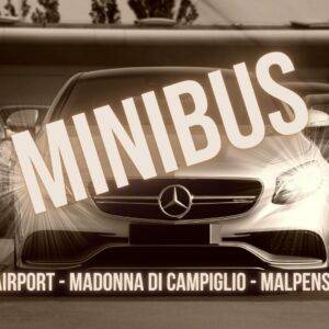 Malpensa Airport - Linate Airport - MiniBus - Malpensa transfer
